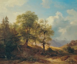 Paesaggio estivo in alta montagna da Joseph Martin Höger