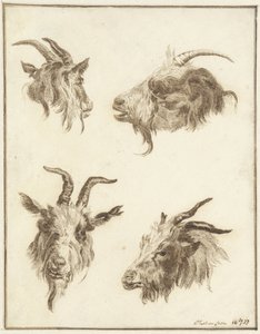 Quattro studi di teste di capra da Joseph Mendes da Costa