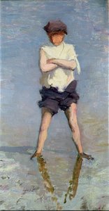 Il Riccio di Mare da Joseph Milner Kite