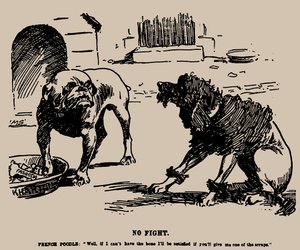 Nessuna lotta. Caricatura sull