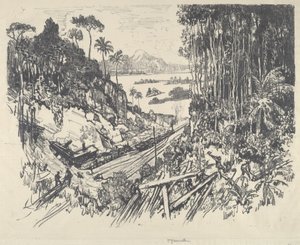 La Giungla da Joseph Pennell