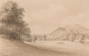 Castello di Dunster, Somerset: Vista del castello in lontananza da Joseph Powell