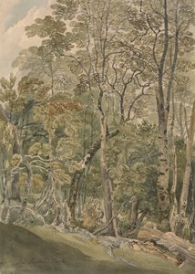 Nel parco di Rydal