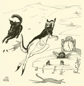 Vecchio Canguro