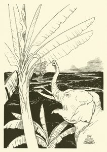 Il Bambino dell