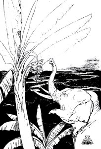 Illustrazione di un elefante di Kipling (incisione)
