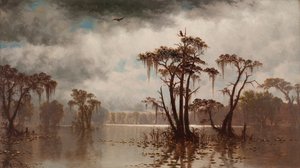 Scena di Bayou