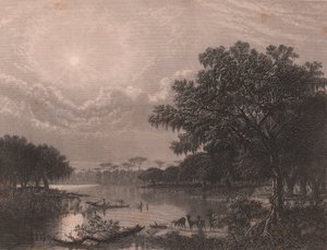 Louisiana Bayou, Stati Uniti, incisione su acciaio di Robert Hinshelwood dopo un dipinto di Joseph Rusling Meeker da Joseph Rusling Meeker