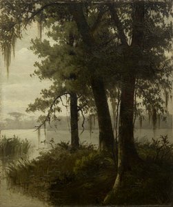 Scena di palude da Joseph Rusling Meeker