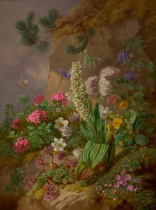 Fiori alpini