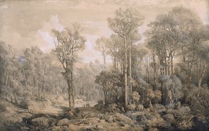 Foresta australiana da Joseph Selleny
