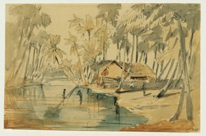 Palmeto a Ceylon (Sri Lanka) da Joseph Selleny