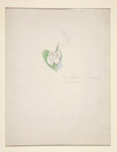 Fiore