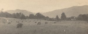 Paesaggio con Alberi e Montagne