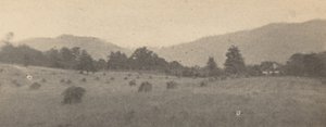 Paesaggio con alberi e montagne, c. 1900 (foto)
