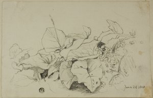 Gruppo di foglie e fiori