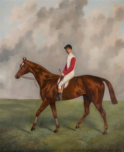Sir Hugo, vincitore del Derby del 1892 da Joshua Dighton
