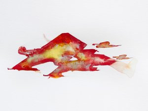 Colori astratti dinamici da Joshua Hoskins