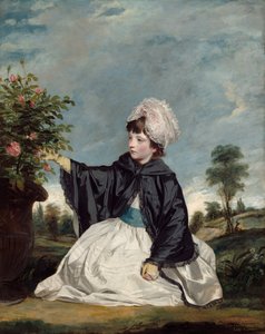 Ritratto di Lady Caroline Howard da Joshua Reynolds
