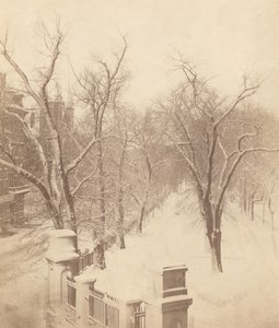 Scena di neve al Boston Common