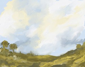 Campi ondulati e cielo nuvoloso