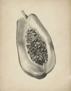 Mezza papaya tropicale da Josie George