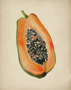 Mezza papaya dai colori vivaci da Josie George