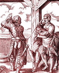 Un macellaio - Cibo e cucina nel Medioevo. Incisione di Jost Amman (1539-1591). Incisione 1878 da Jost (after) Amman