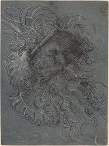 Testa di un uomo barbuto da Jost Amman