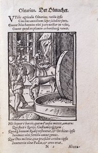 Produttore di olio, illustrazione dall