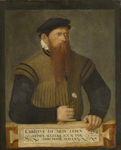 Ritratto di un uomo con barba, 1565 da Jost Amman