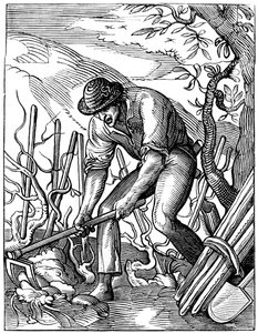 Vinificatore, 16° secolo, 1849 da Jost Amman