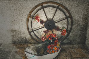 Fiori per i marinai, dalla serie Chapelle du Canal, 2016 (fotografia) da Joy Lions