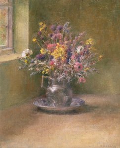 Fiori eterni