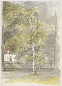 Albero davanti al cancello di una villa