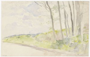 Gruppo di alberi lungo una strada