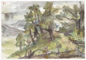 Paesaggio collinare boscoso