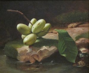 Natura morta con le zampe
