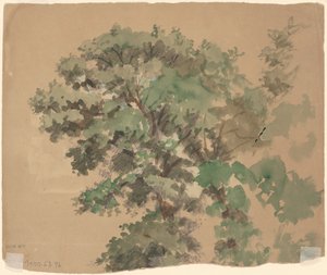 Albero (verso) da Jr. Enoch Wood Perry