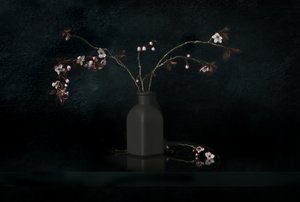 Natura morta con fiori di ciliegio da Juan Antonio Palacios
