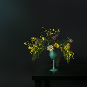 Elegante natura morta con fiori di campo da Juan Antonio Palacios
