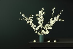 Fiori freschi di primavera da Juan Antonio Palacios