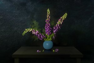 Natura morta con digitale viola da Juan Antonio Palacios