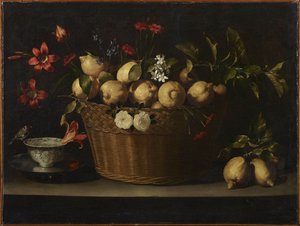 Natura morta con limoni in un cesto di vimini, ca 1643-1649 da Juan de Zurbaran