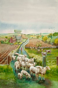 Paesaggio rurale