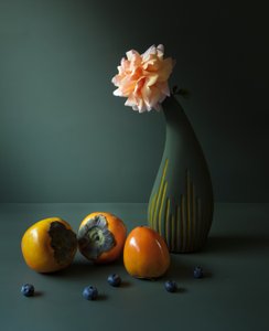  da Judy Tseng