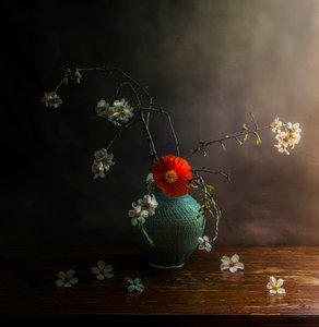  da Judy Tseng