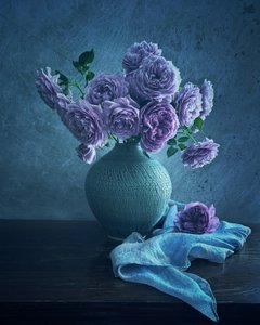 Rose viola tranquille da Judy Tseng