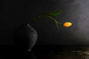  da Judy Tseng