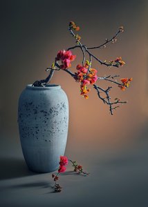 Composizione floreale Zen da Judy Tseng